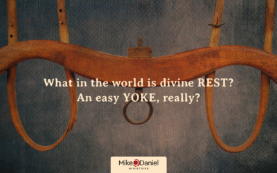 What in the world is divine REST? An easy YOKE, really?